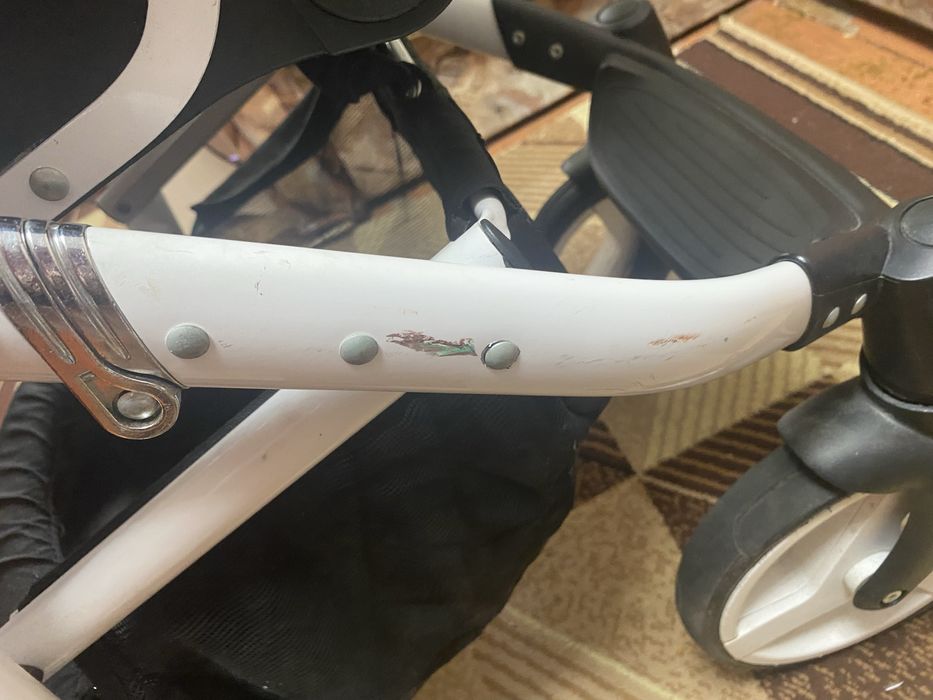 Коляска Adamex Neonex 2в1