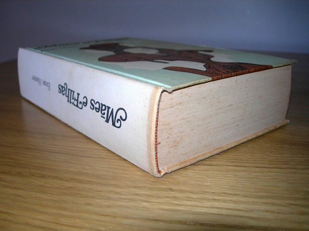 Livro Mães e Filhas