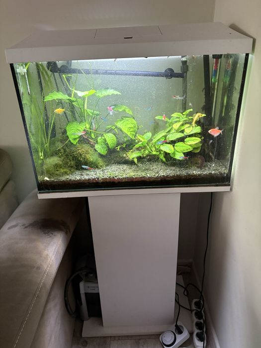 Sprzedam  Akwarium 70L