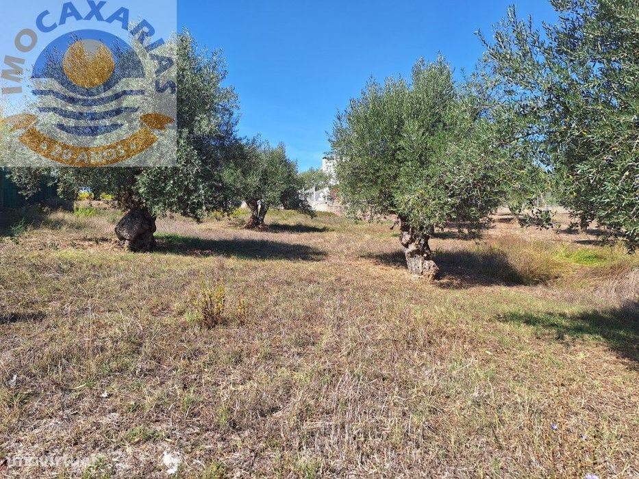 Terreno com viabilidade de construção.
