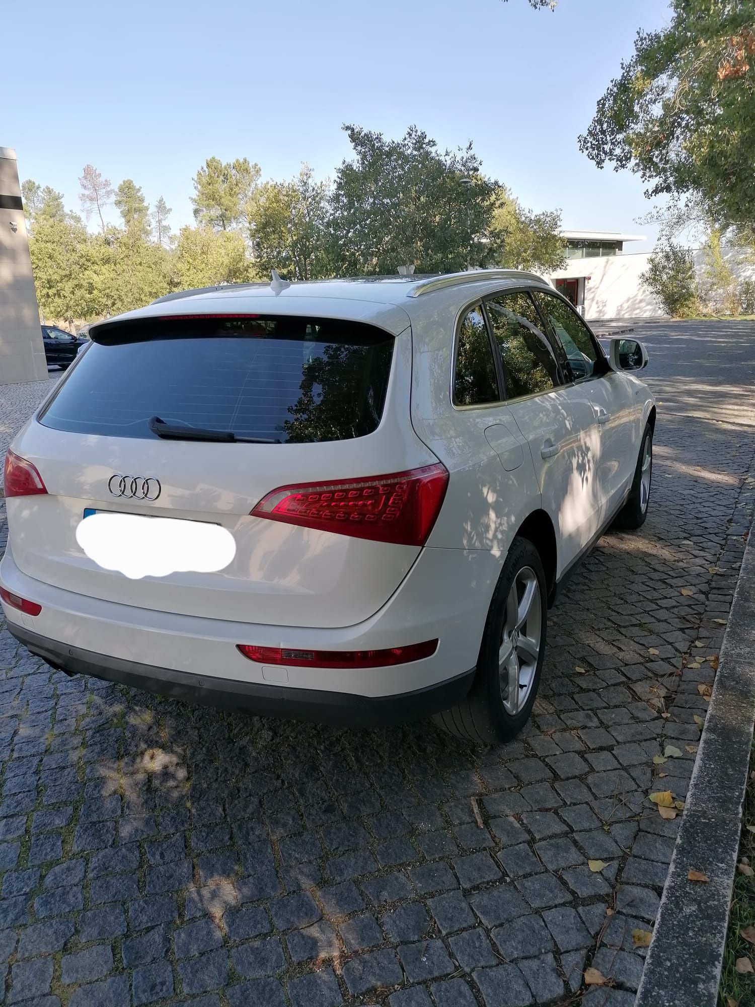 Audi Q5 S-Line 2010