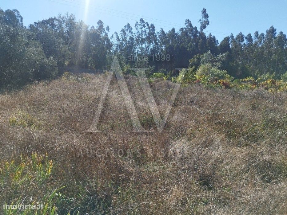 Terreno rústico - S. Domingos - BOTÃO - COIMBRA |LEILÃO ELETRÓNICO|...