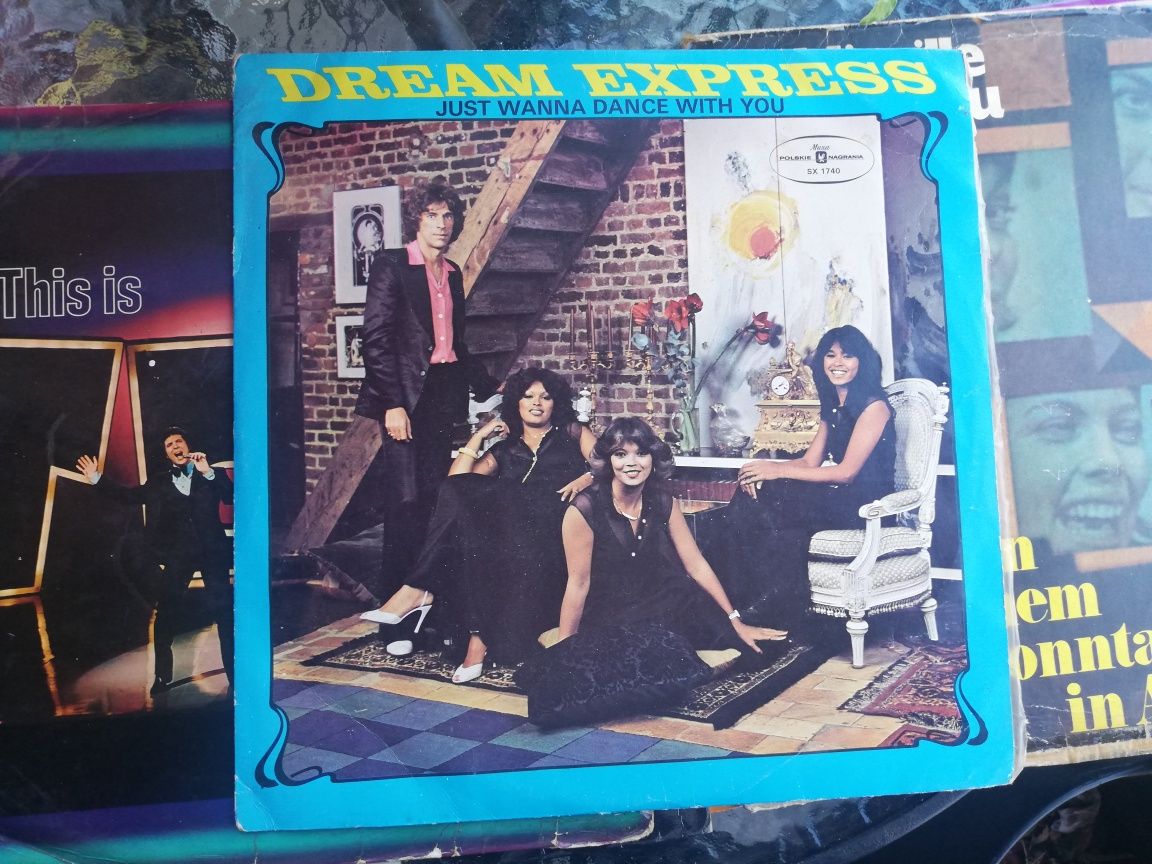 Płyta winylowa Dream Express płyty winylowe