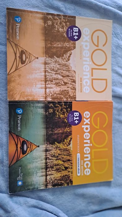 Gold experience B1+