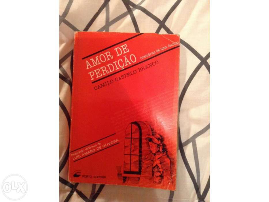 Livro amor de perdiçao