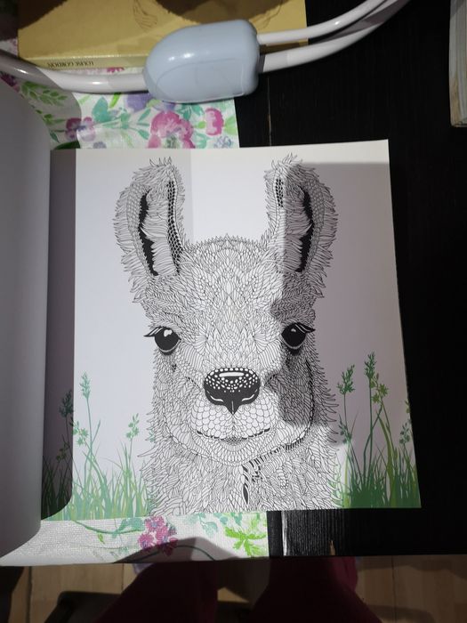 Animalário livro para colorir