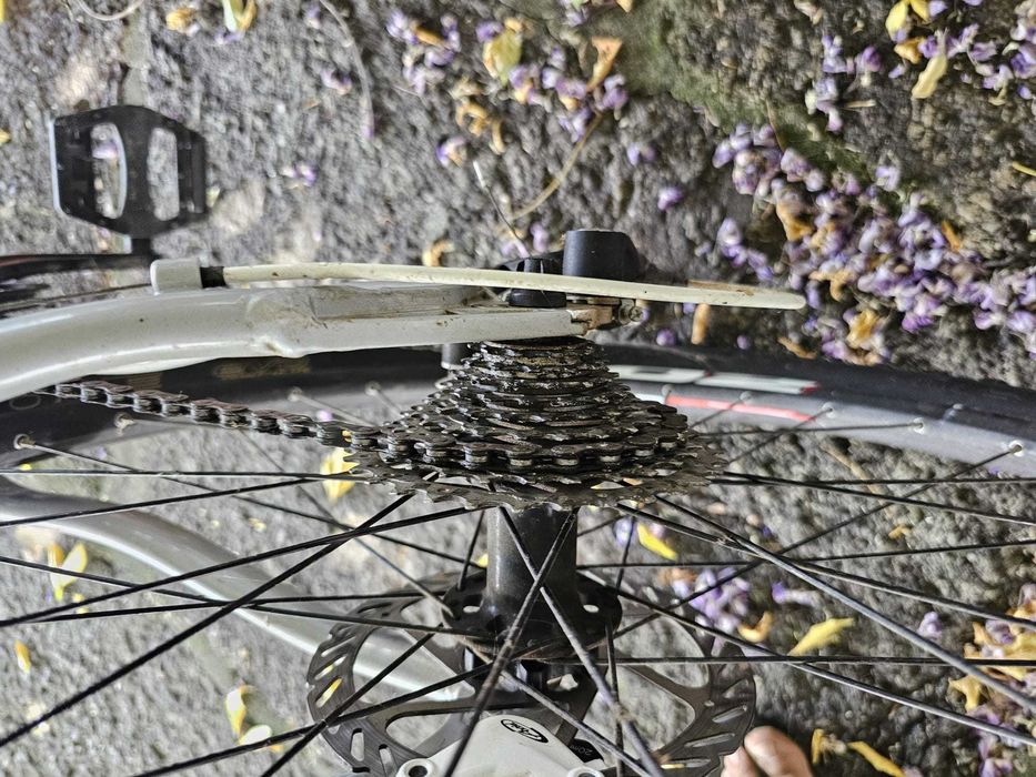 Bicicleta Berg Trail Rock