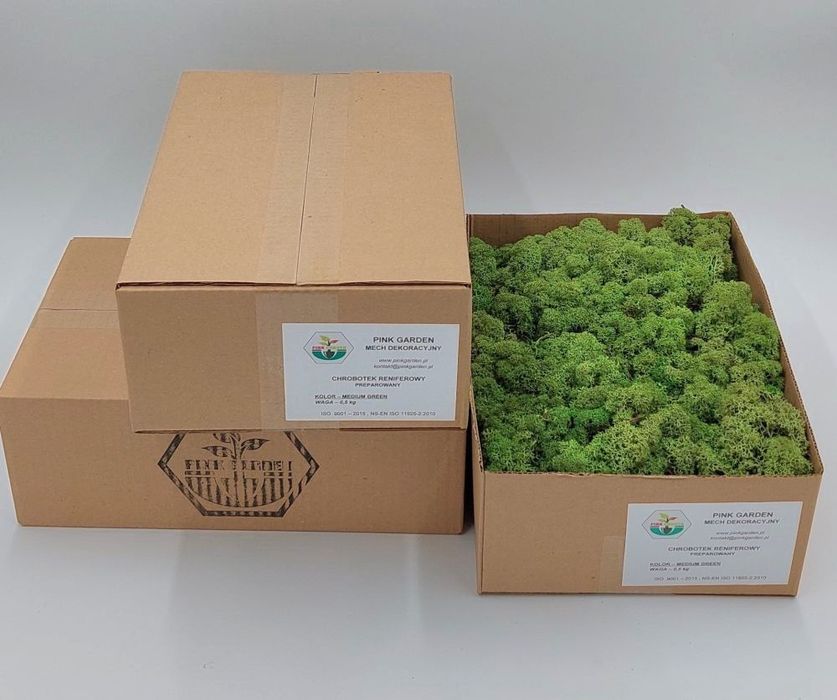 Mech chrobotek reniferowy 0,5 kg Medium Green