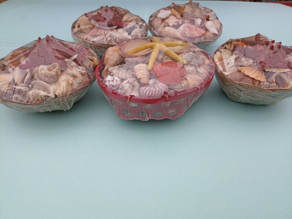 Набор морских ракушек