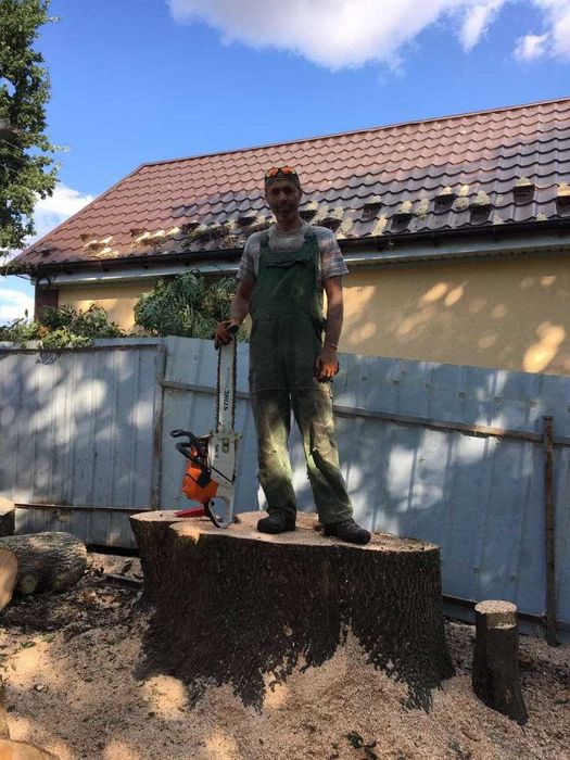 Зрізати, зрізання, видалення, срезать дерево. Розчистка ділянок.