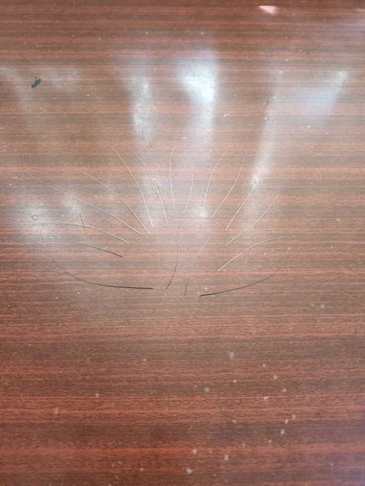 Усы кошачьи вибриссы 17 шт