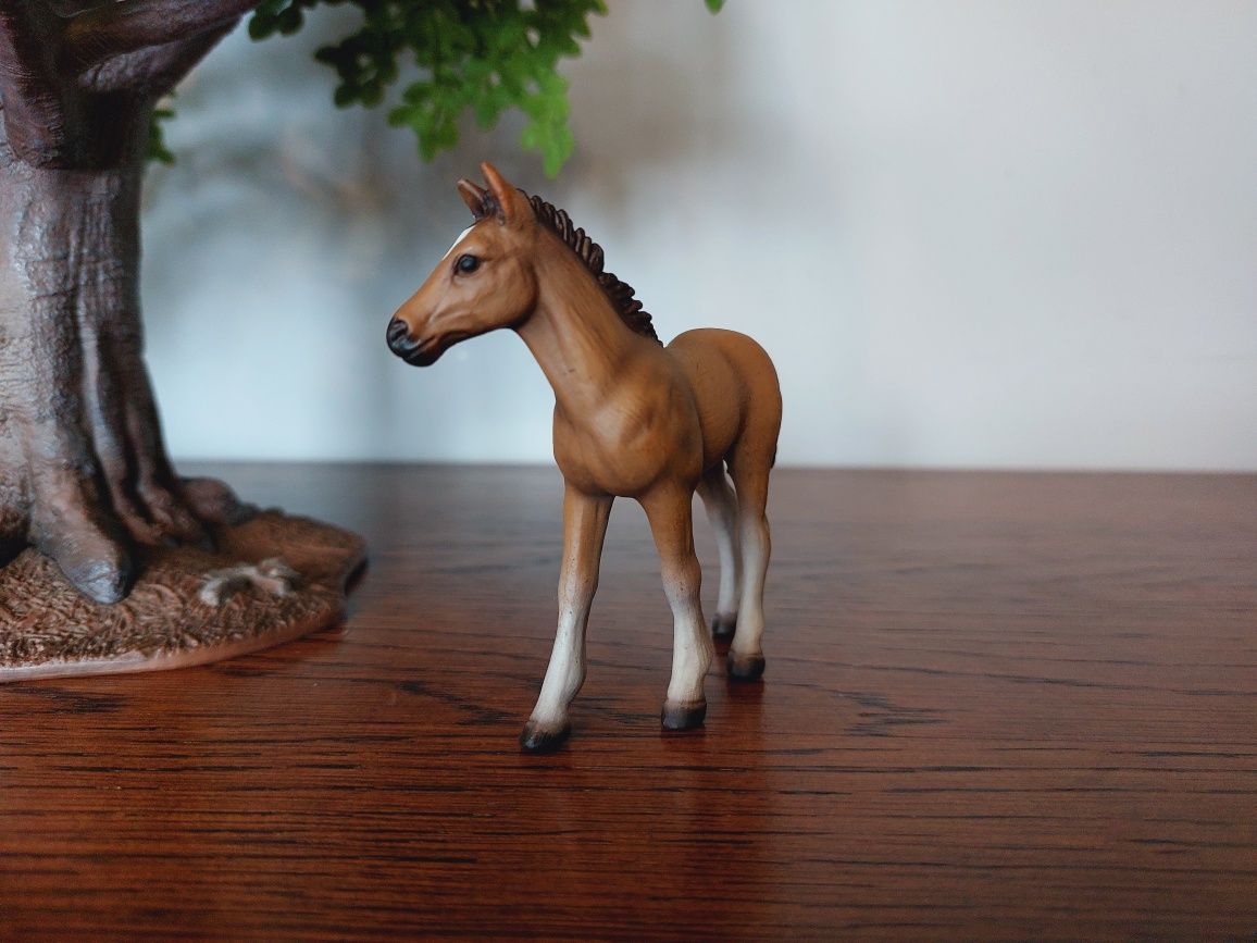 Źrebak hanowerski schleich