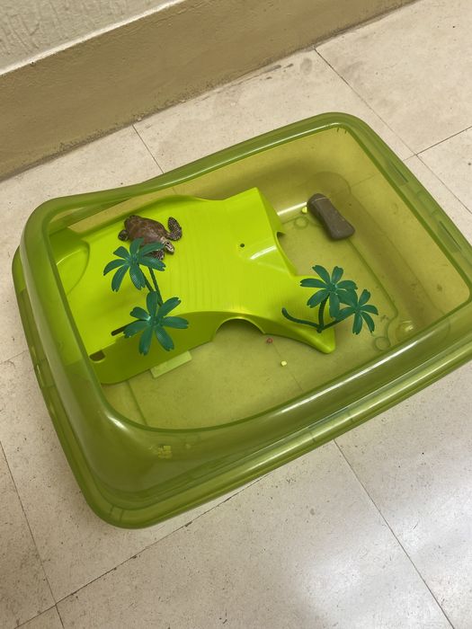 Aquario tartaruga
