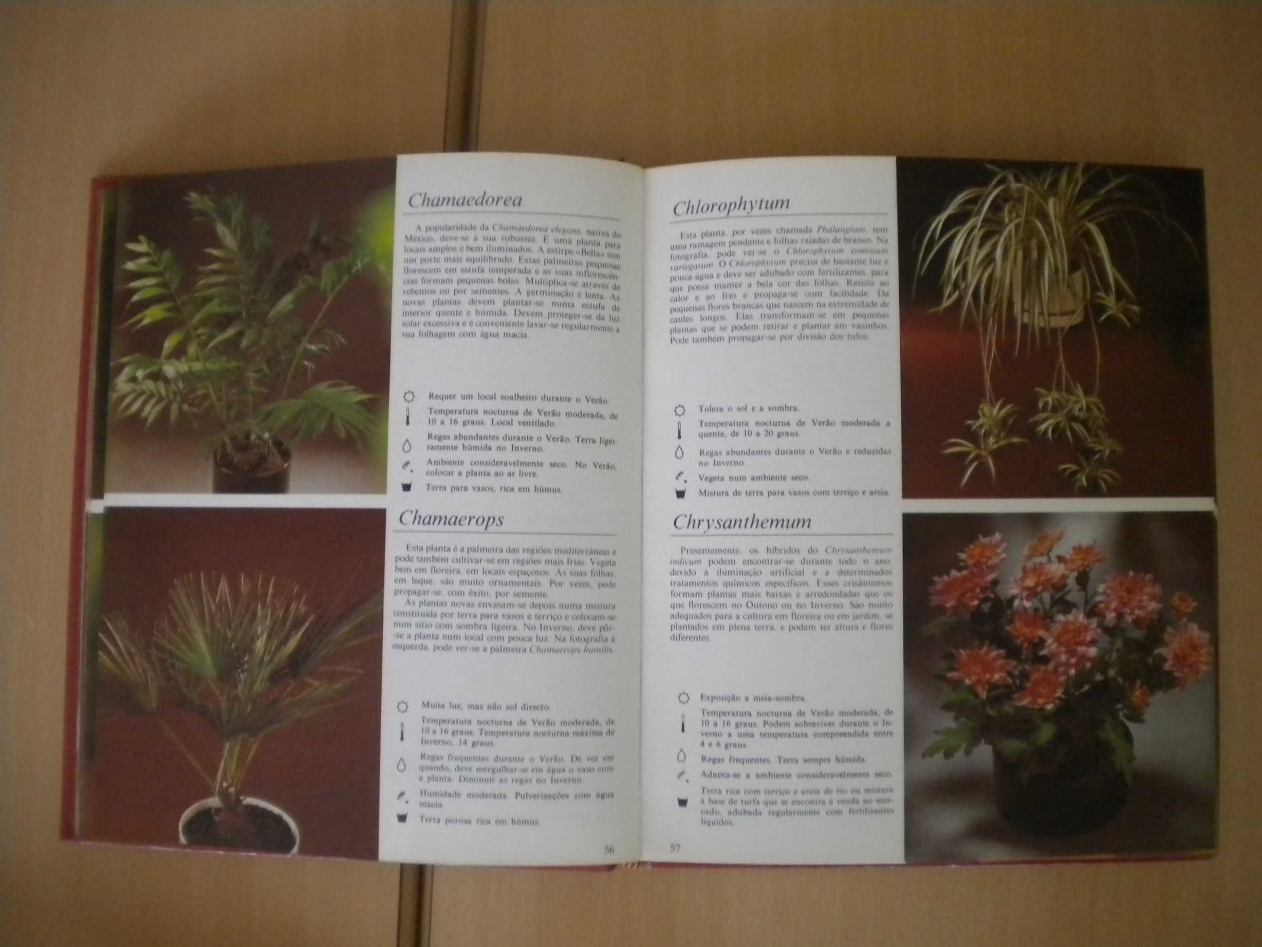 O Livro das Plantas
de Rob Herwig e Claude Riou