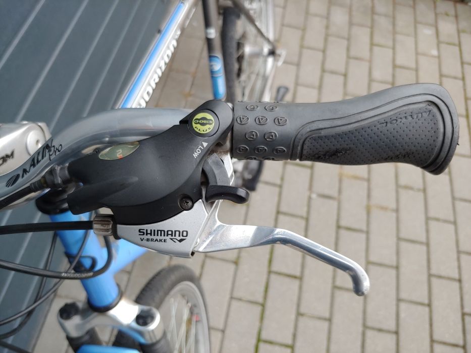 Rower Author Horizon SX