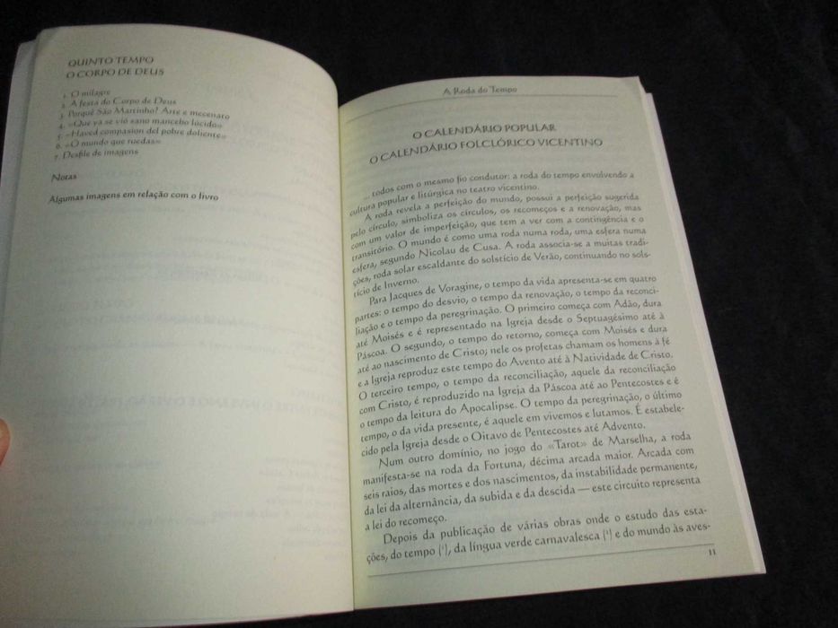 Livro Trilogia Vicentina A Roda do Tempo Maria José Palla