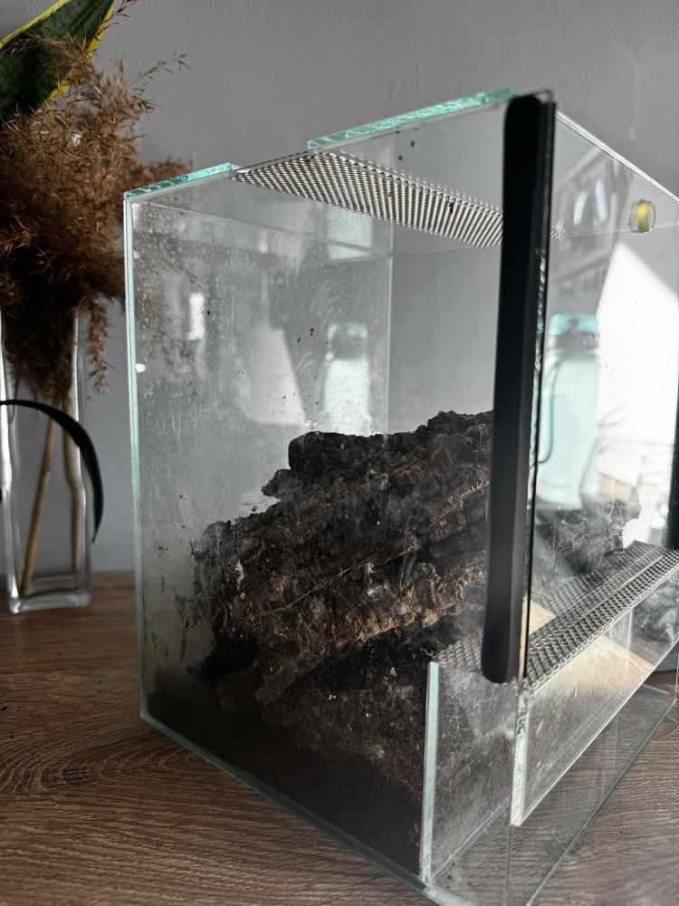 terrarium dla pająka