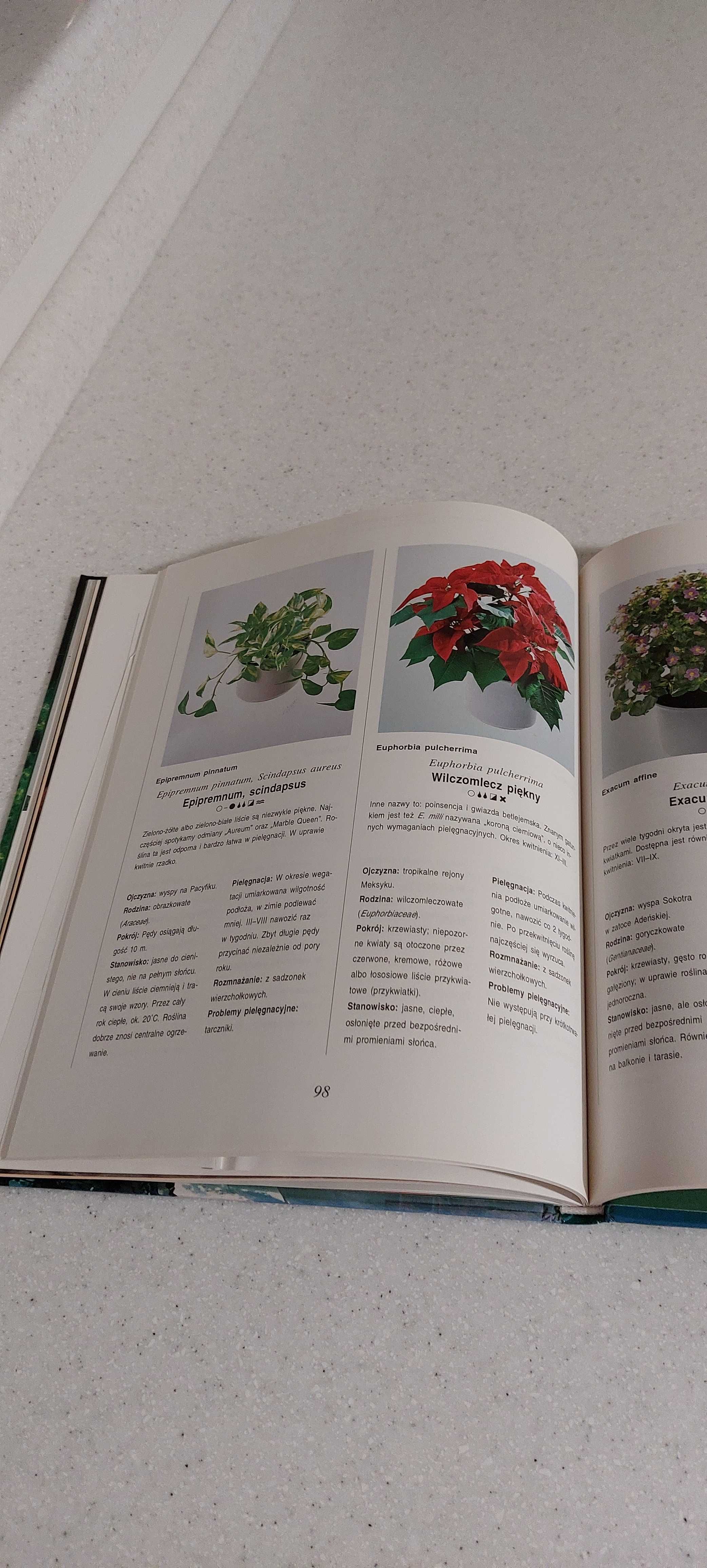 Książka o pielęgnacji hodowli roślin domowych "Mieszkać wśród zieleni"