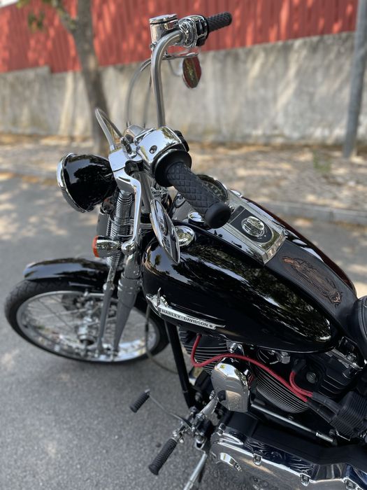 Harley softail springer