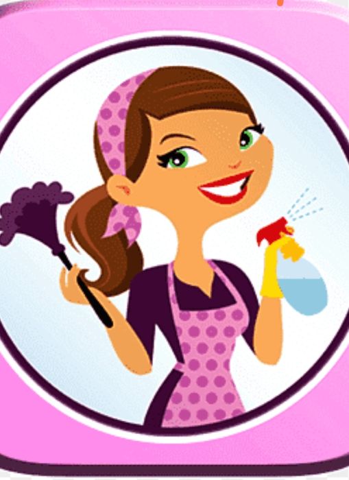 Profesjonalnie sprzątanie domów i mieszkań. Mycie okien.