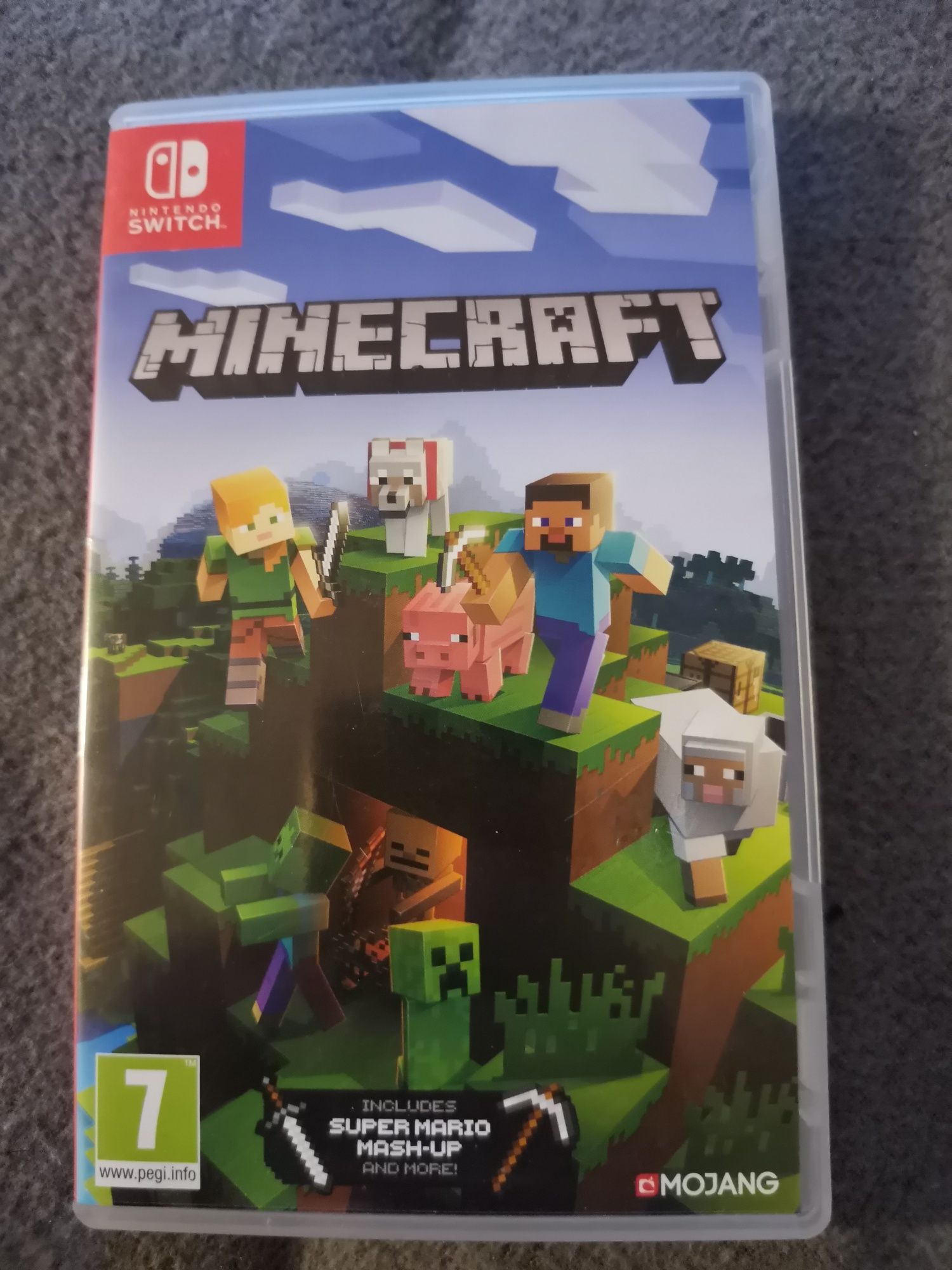 Minecraft Nintendo Switch