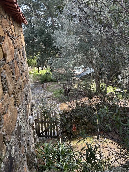 Quinta ecologica / eco farm Oleiros