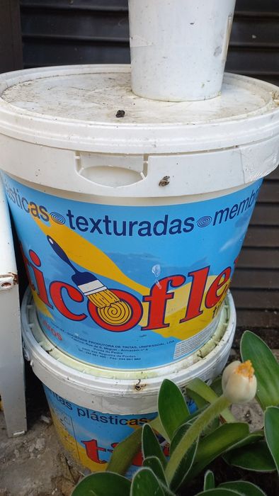 Serviço de pintura