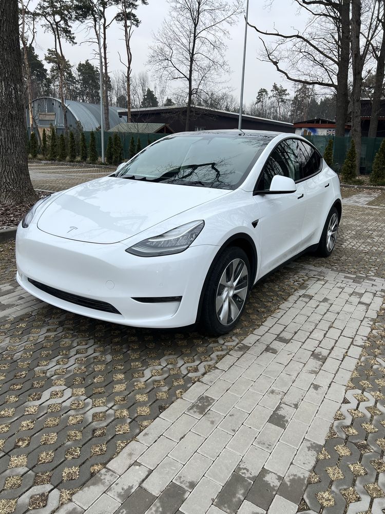 Tesla model Y(7місць)