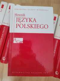 Zestaw słowników języka polskiego PWN