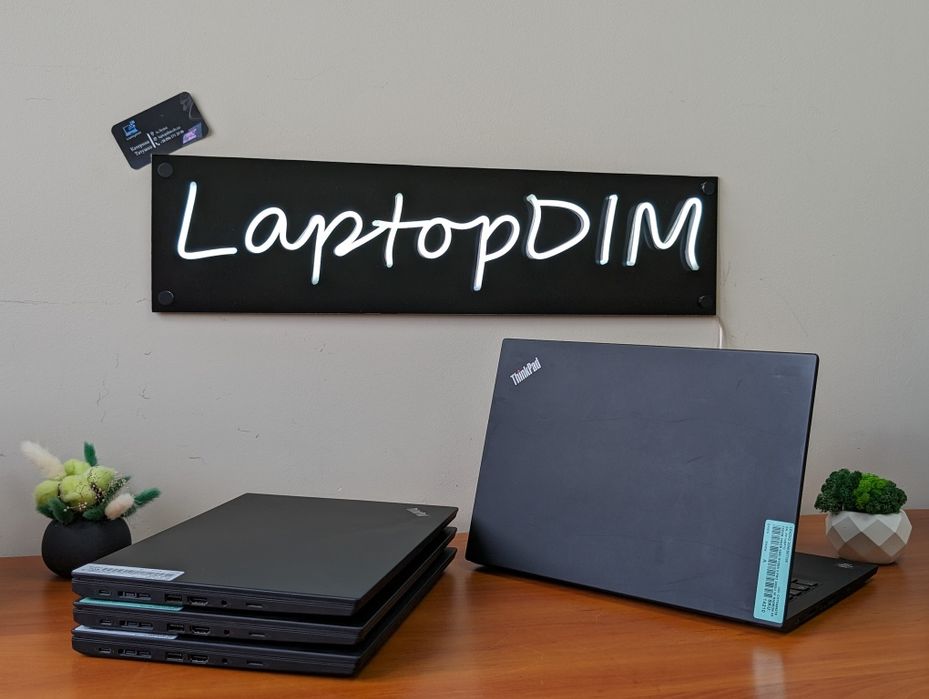 Ноутбук Lenovo ThinkPad T495/14/IPS/FULLHD/Ryzen5 Pro 3500/16/256