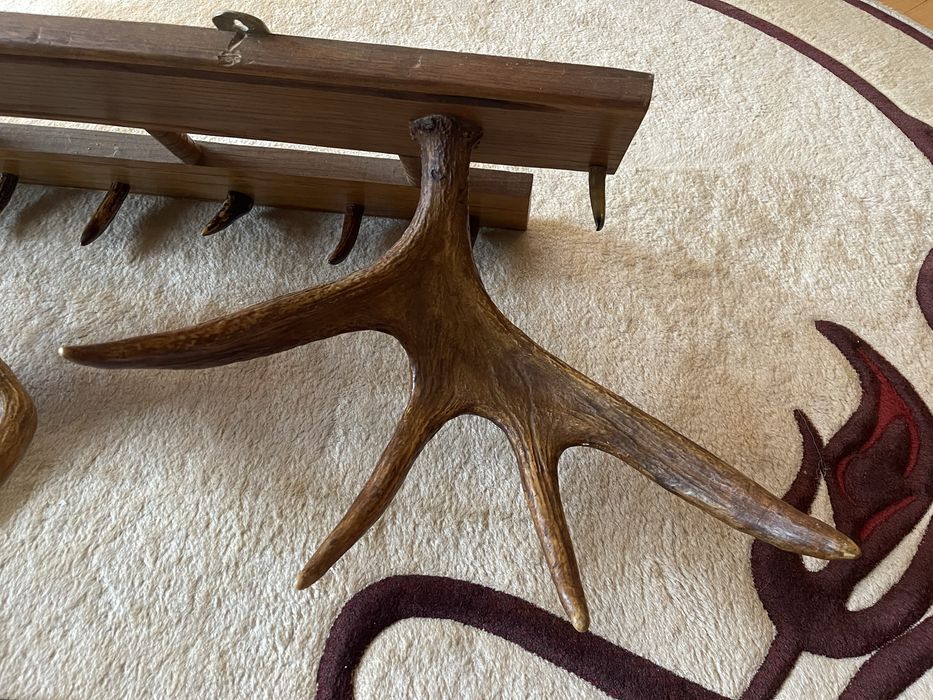 Вішак з ріг лося