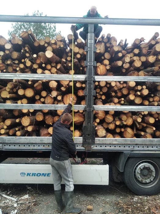 Дрова оптом от 50 куб