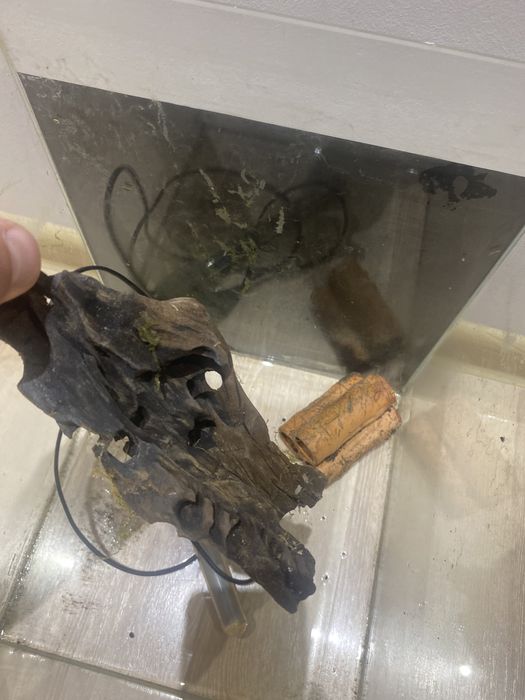 Kostka akwarium korzeń grzałka krewetkarium