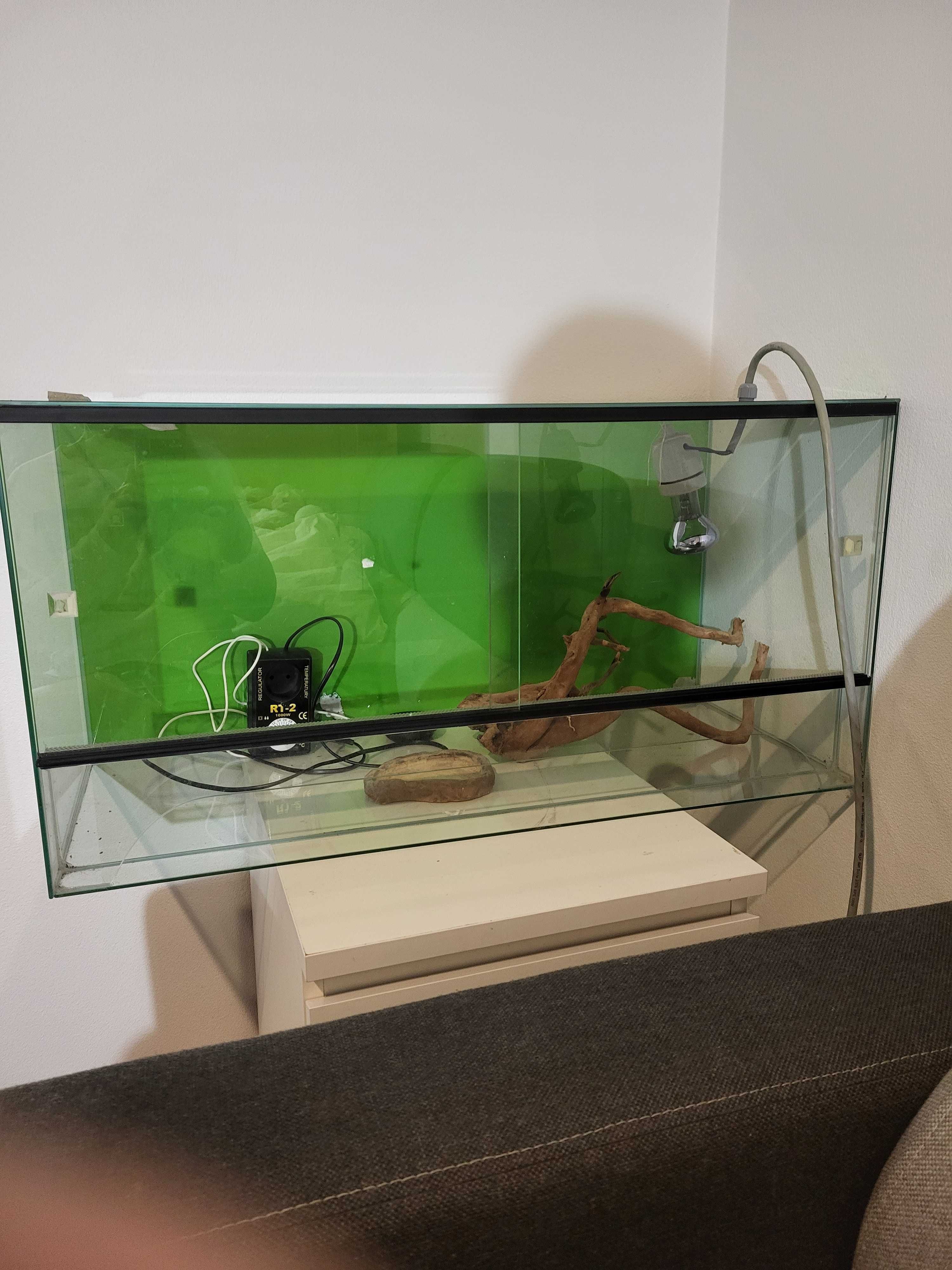 TERRARIUM duże komplet z gadżetami