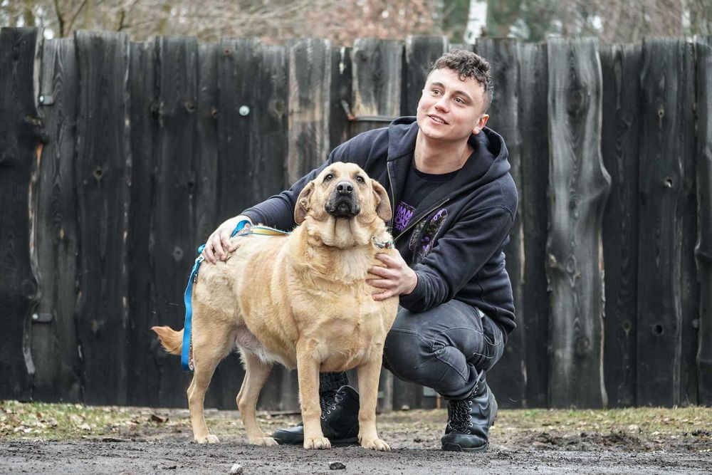 Kenta - super pozytywna sunia szuka domu