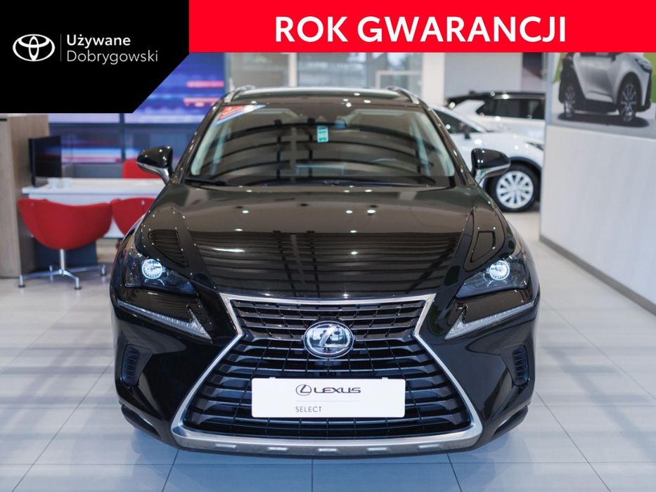 Lexus NX 300 Optimum AWD