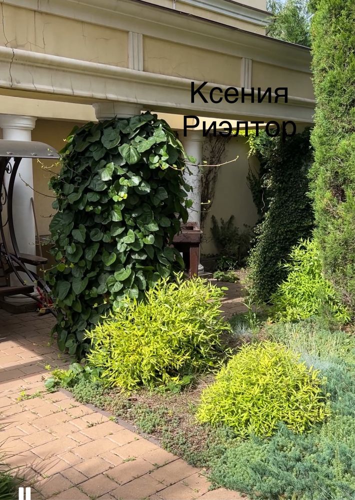 Будинок Комфортный дом 12 фонтана у моря