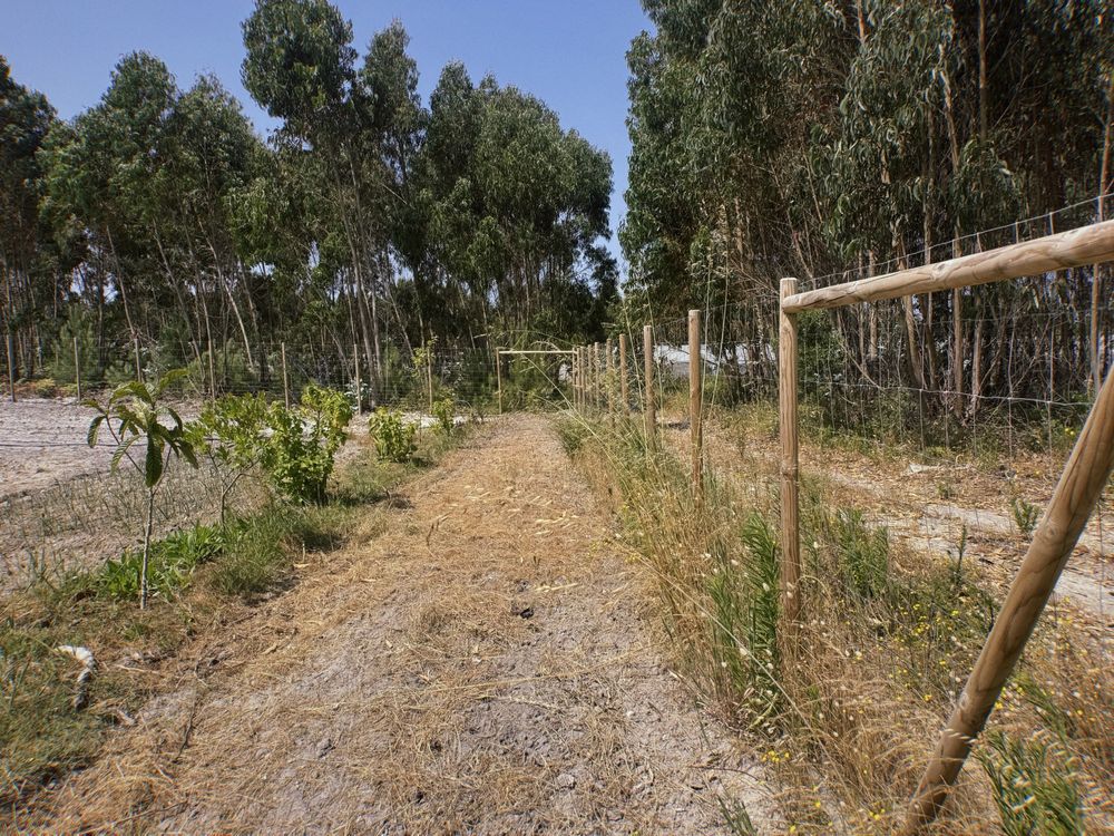 TERRENO para construção com PROJETO APROVADO - A 5min de SANTA CRUZ