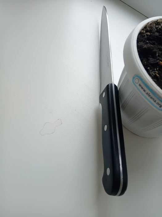 Продам ЦЕПТЕР  сковорідку