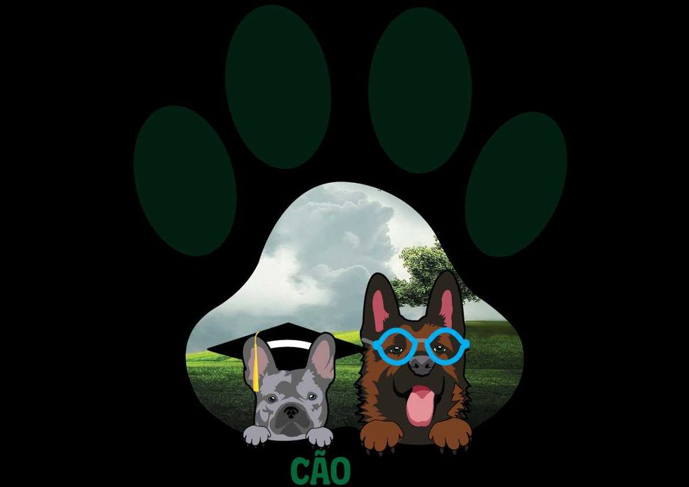 Treino de cães ao domicílio