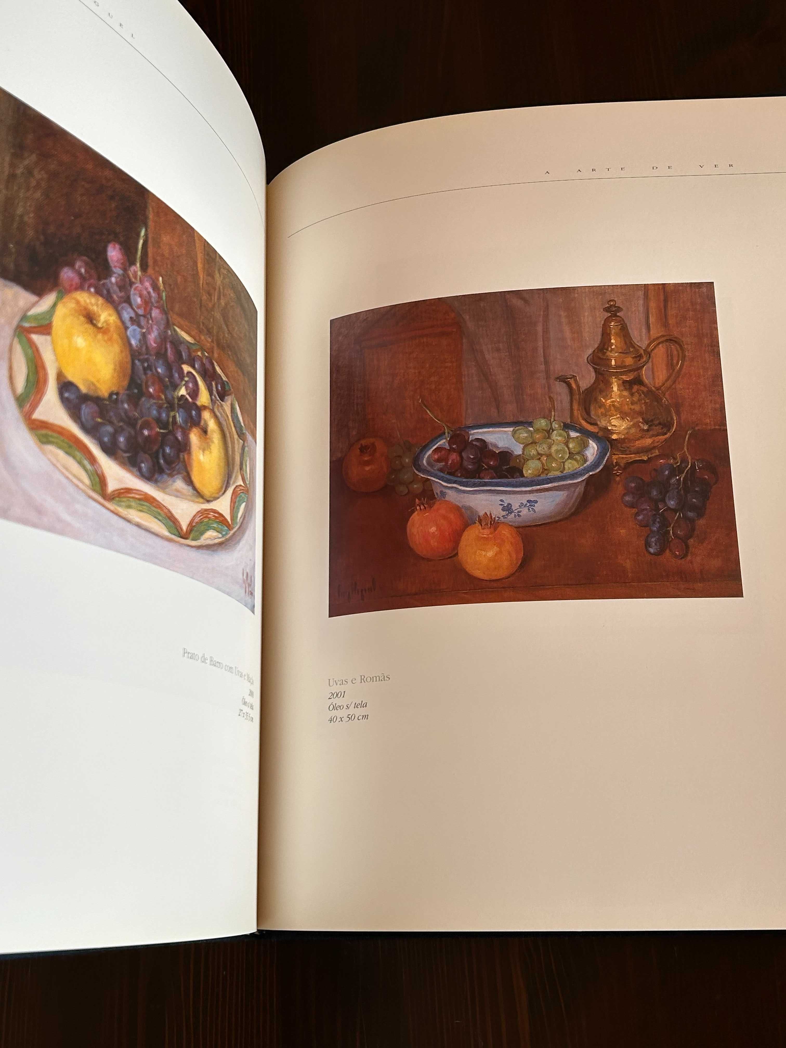 Livro a Arte de Ver