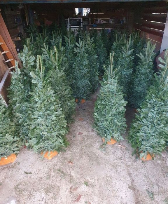 Продам плетені ялинки, ОПТОМ!!!