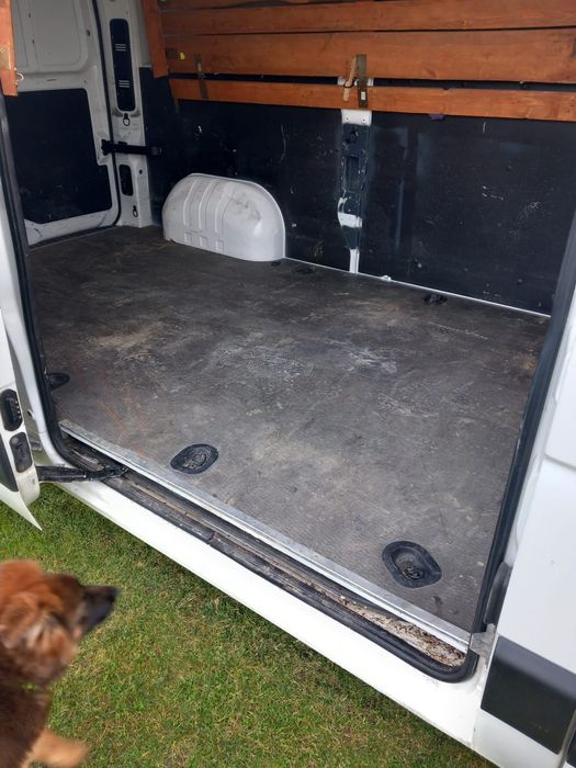 Wypożyczalnia busów dostawczych najem krótko/ długoterminowy Bus