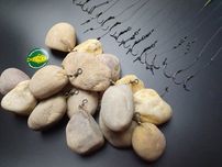 20 sztuk ciężarki kamienne 160-180g z kamienia z krętlikiem