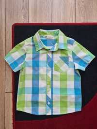 Koszula h&m rozmiar 98 z krótkim rękawem zielona niebieska