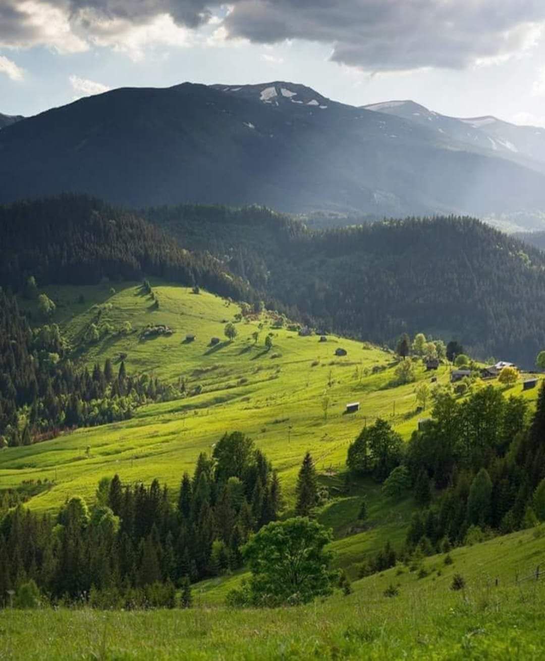 Від власника земельна ділянка в с.Дземброня.