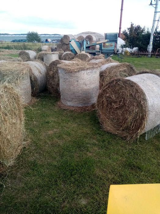 Sprzedam Siano 120x120