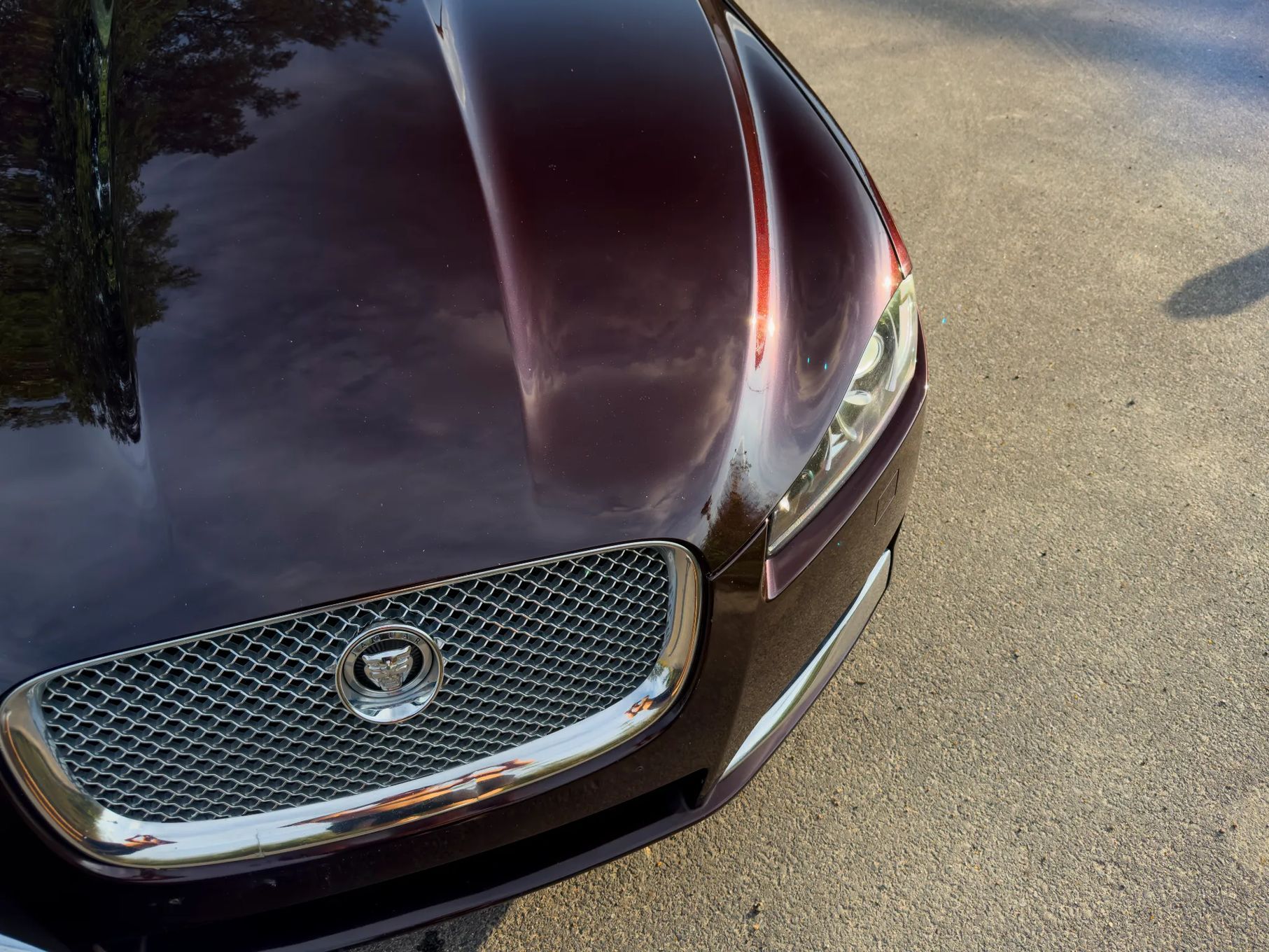 Jaguar XF Jaguar XF 2.2 Premium Luxury