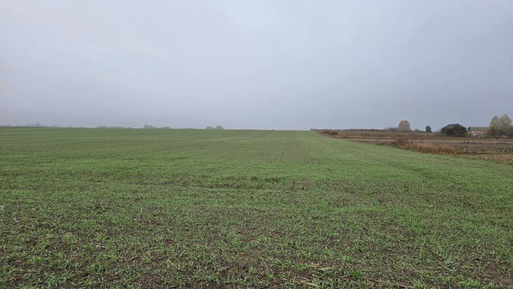 Продам ділянку в  селі Лаврівка 9052