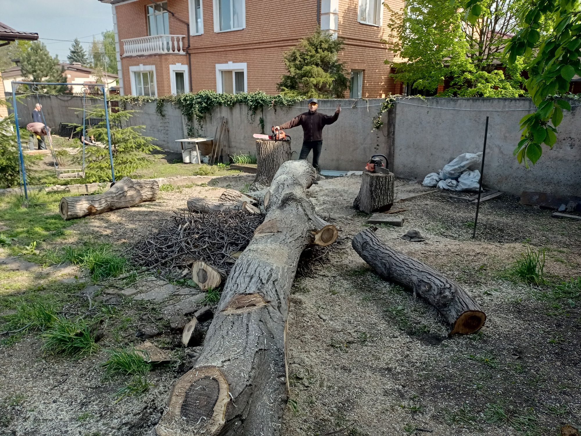 Спил и обрезка деревьев